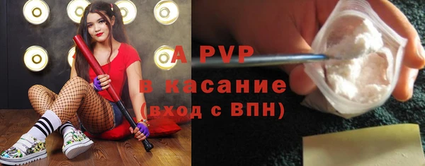 крисы Армянск