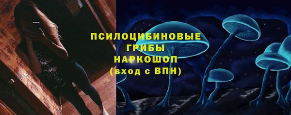 стаф Алексин