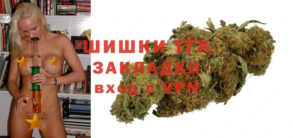 стаф Алексин