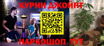 стаф Будённовск