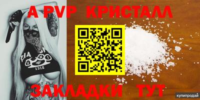 стаф Будённовск