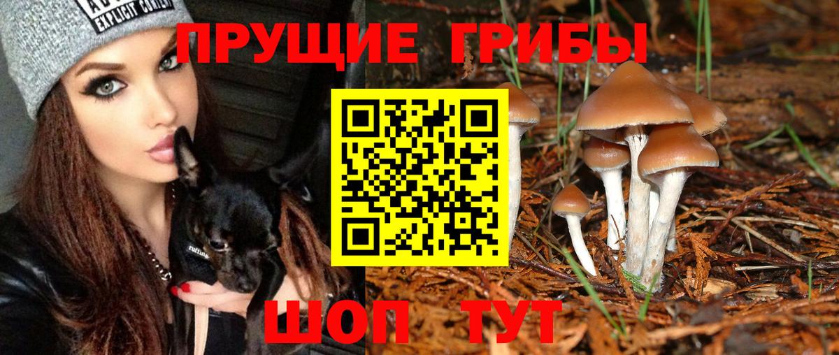 Псилоцибиновые грибы мухоморы Асбест